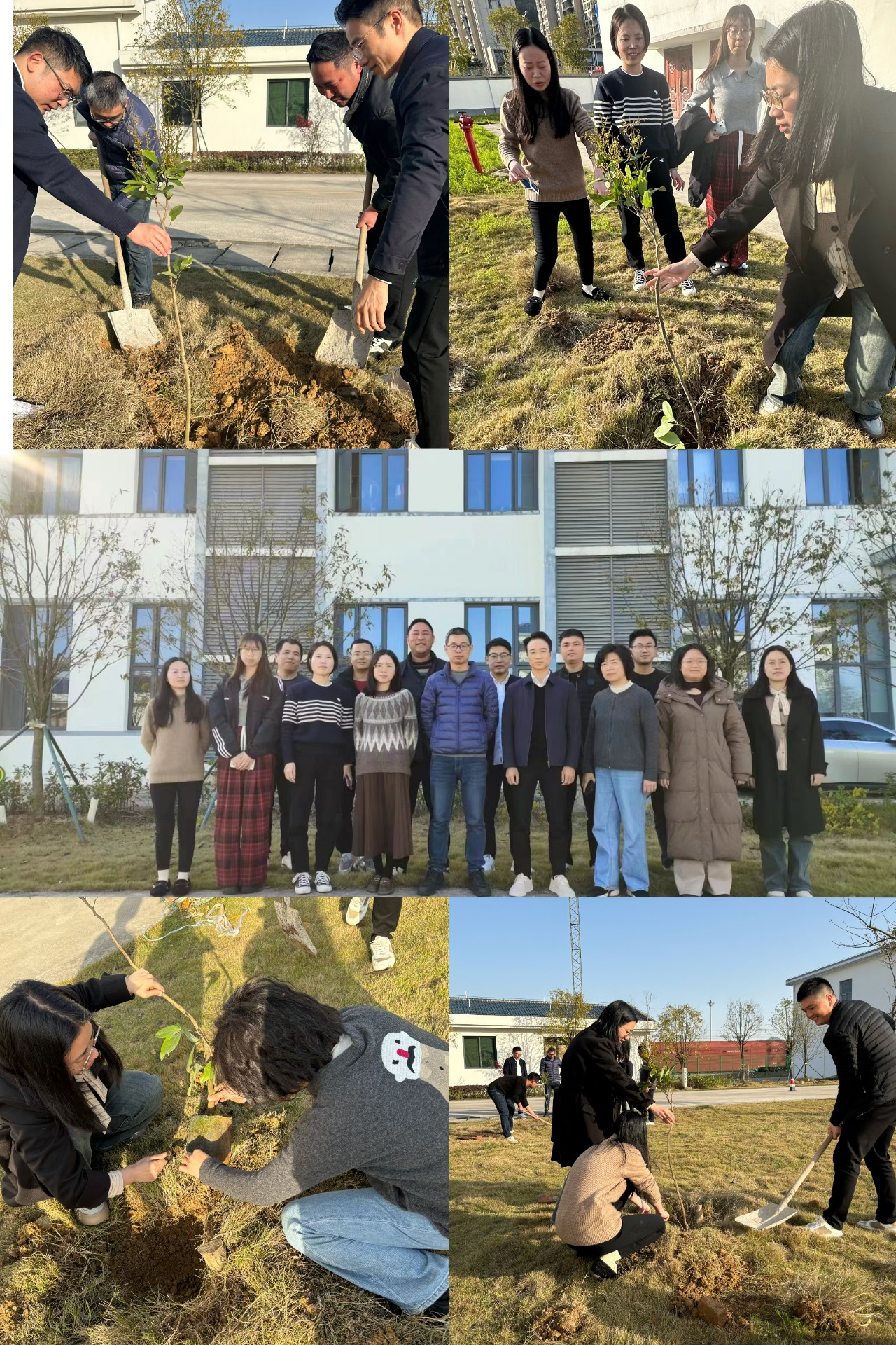 2024-3-12綠色陸港，美麗寧德，阮克妙拍攝.jpg